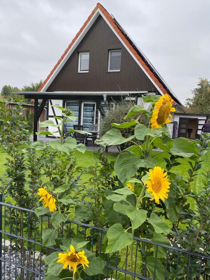 Ferienhaus Kiebitz Dorumer Neufeld Eksteriør billede